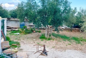 Foto 12