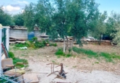 Casa de camp amb terreny en venda a Vélez-Rubio ref.: TR185565 foto
