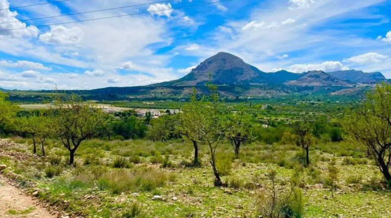 Almería - Vélez-Blanco - 3046m2