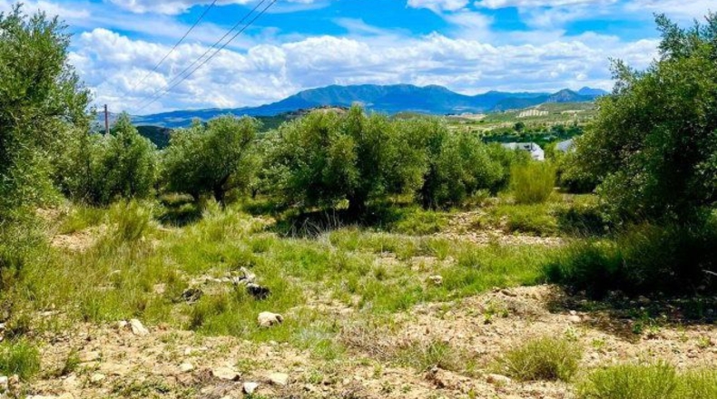 Almería - Vélez-Blanco - 3046m2