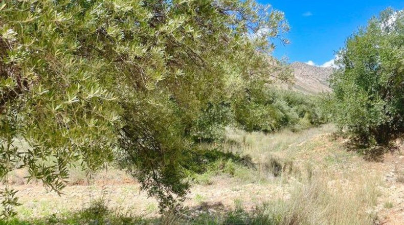 Almería - Vélez-Blanco - 3046m2