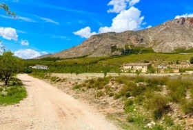 Foto 6