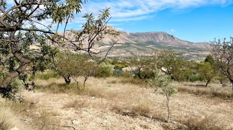 Almería - Vélez-Blanco - 6300m2