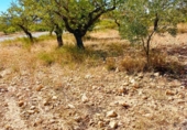 Finca rústica en venda a Mojácar ref.: TR185564 foto