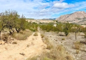 Finca rústica en venda a Mojácar ref.: TR185564 foto