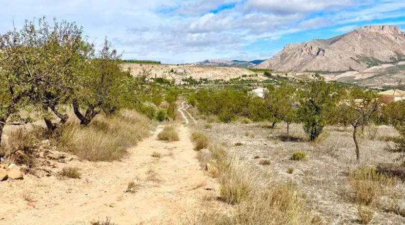 Almería - Vélez-Blanco - 6300m2