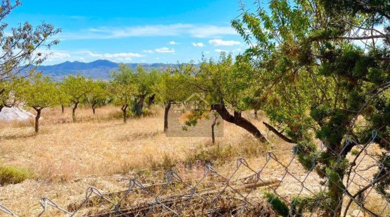 Almería - Topares - 6300m2
