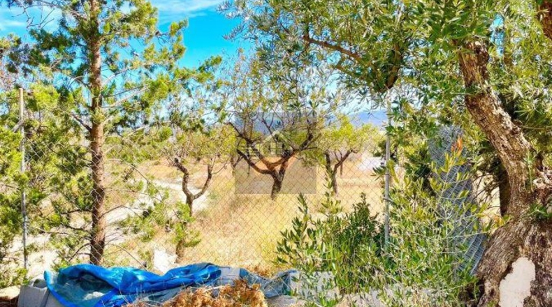 Almería - Topares - 6300m2