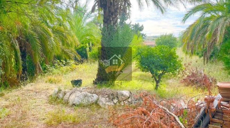 Murcia - Los Vientos - 5600m2