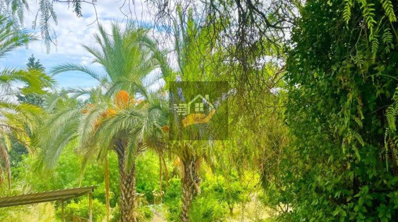 Murcia - Los Vientos - 5600m2