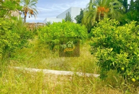 Foto 17