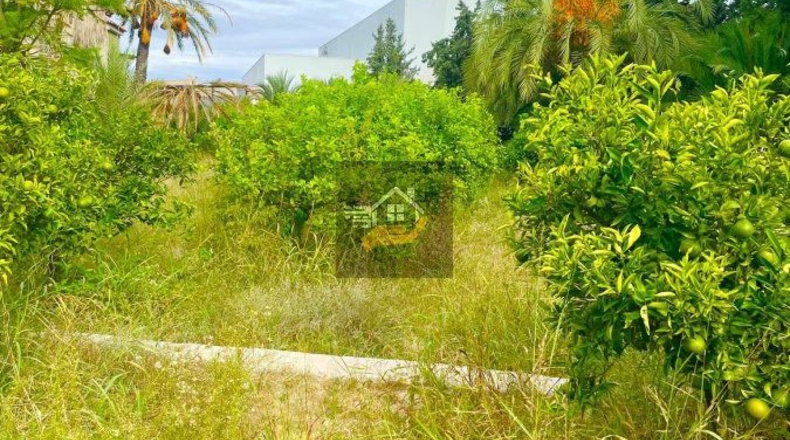 Murcia - Los Vientos - 5600m2