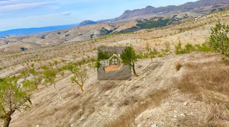 Almería - Gateros - 80000m2