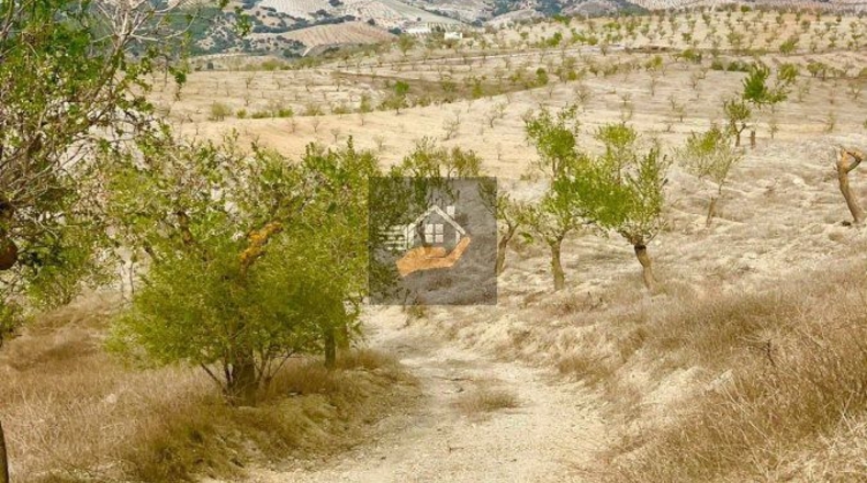 Almería - Gateros - 80000m2