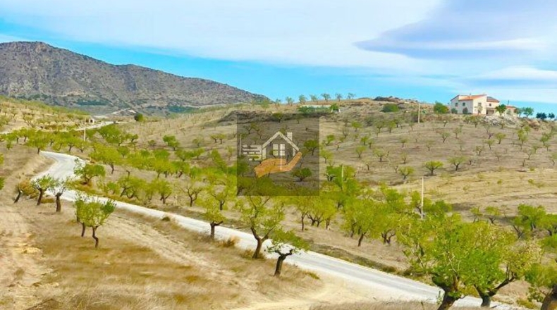 Almería - Gateros - 80000m2