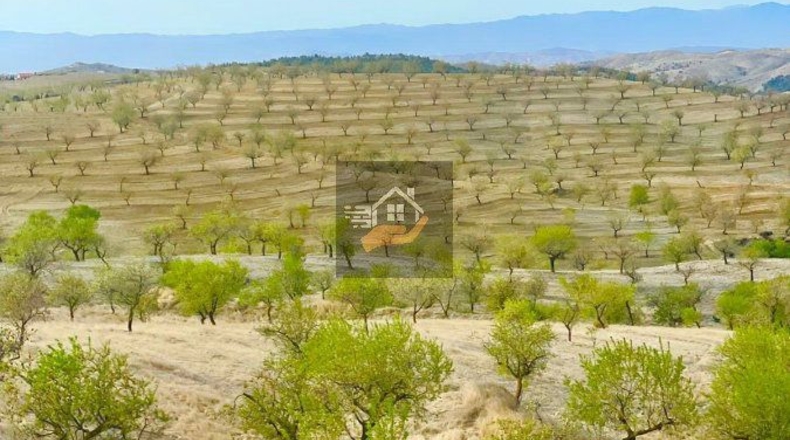 Almería - Gateros - 80000m2
