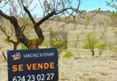 Terreno no urbanizable en venta en Vélez-Rubio ref: TR109560 foto