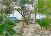 Finca rústica en venda a Vélez-Rubio ref.: TR186282 foto