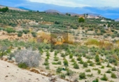 Finca rústica en venda a Vélez-Rubio ref.: TR186282 foto
