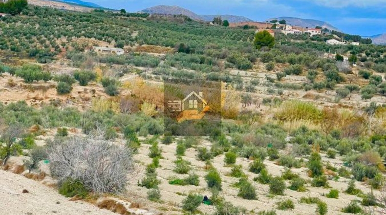 Almería - Vélez-Rubio - 130000m2