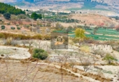 Finca rústica en venda a Vélez-Rubio ref.: TR186282 foto