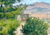 Finca rústica en venda a Vélez-Rubio ref.: TR186282 foto