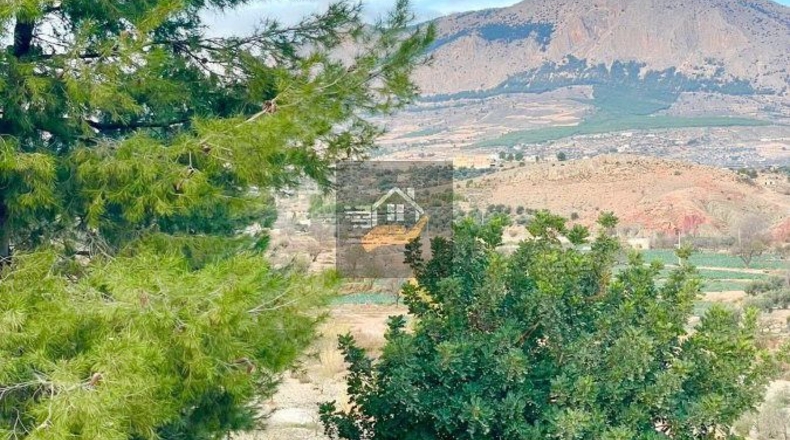 Almería - Vélez-Rubio - 130000m2