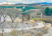Finca rústica en venda a Vélez-Rubio ref.: TR186282 foto
