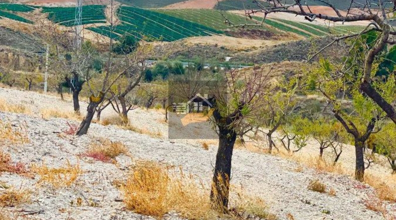Almería - Vélez-Rubio - 130000m2