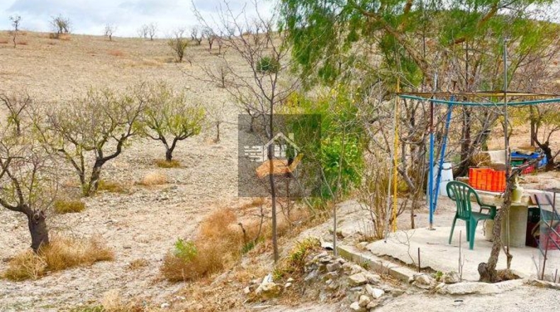 Almería - Vélez-Rubio - 130000m2