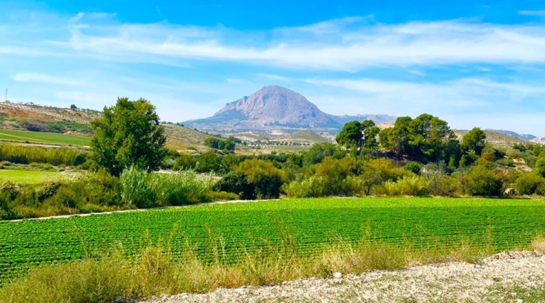 Almería - Topares - 4417m2