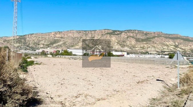 Murcia - Alhama de Murcia - 7000m2