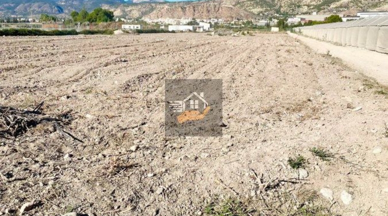 Murcia - Alhama de Murcia - 7000m2