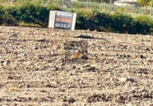 Terreno no urbanizable en venta en Alhama de Murcia ref: TR109565 foto