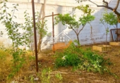 Xalet adossat amb terreny en venda a Vélez-Rubio ref.: TR186278 foto