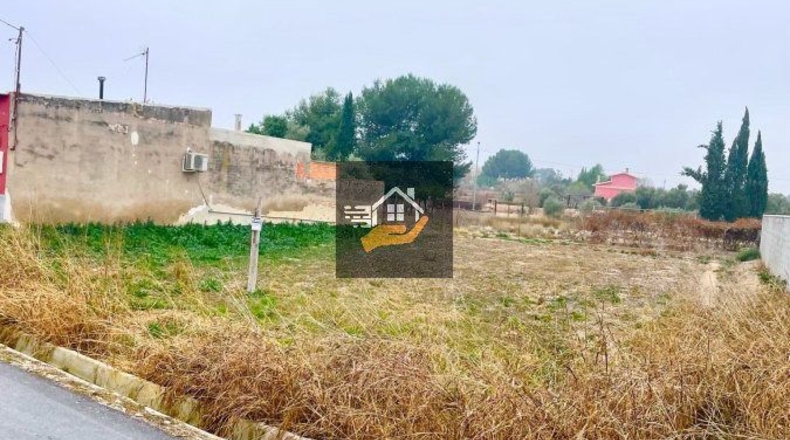 Murcia - Las Torres de Cotillas - 600m2