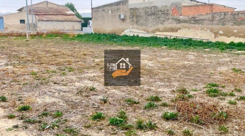 Murcia - Las Torres de Cotillas - 600m2