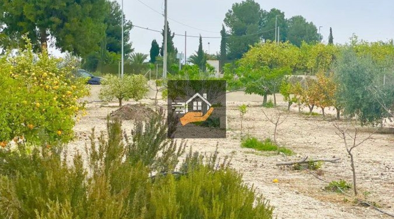 Murcia - Lorquí - 3000m2