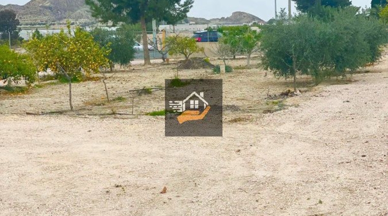 Murcia - Lorquí - 3000m2