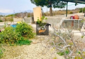 Terreno no urbanizable en venta en Lorquí ref: TR109567 foto