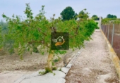 Terreno no urbanizable en venta en Lorquí ref: TR109567 foto