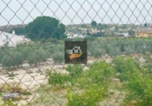 Terreno no urbanizable en venta en Lorquí ref: TR109567 foto