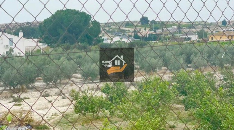 Murcia - Lorquí - 3000m2