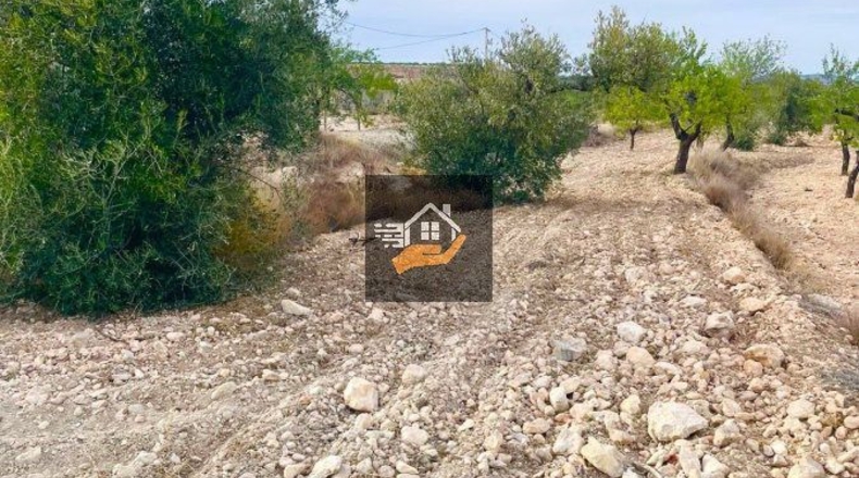 Almería - Topares - 5000m2