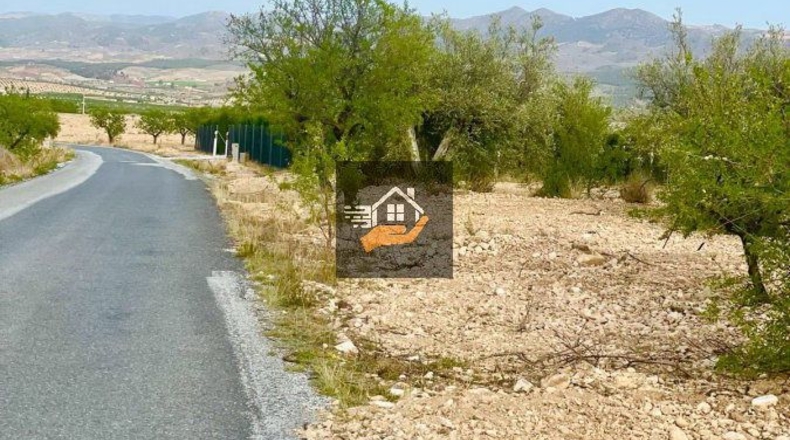 Almería - Topares - 5000m2