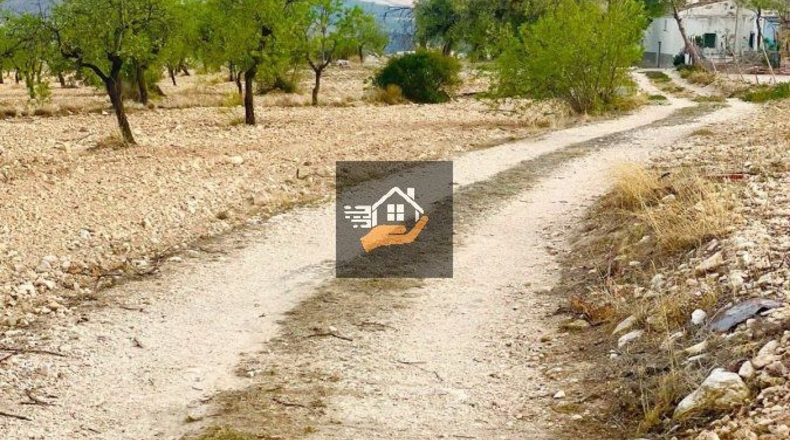 Almería - Topares - 5000m2
