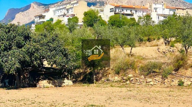 Almería - Vélez-Rubio - 5000m2