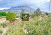 Non-developable land for sale in Vélez-Rubio ref: TR109504 photo