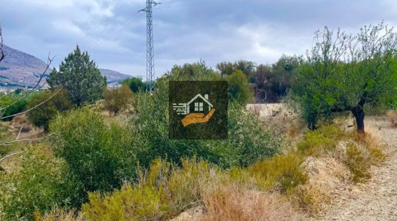 Almería - Vélez-Rubio - 7000m2