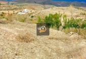 Non-developable land for sale in Vélez-Rubio ref: TR109504 photo